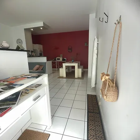 Apartment Le Grand Cocon De Saint Leu Parking Gratuit ! *